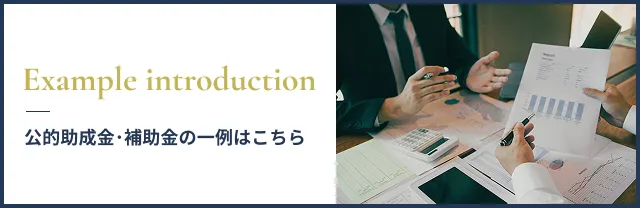公的助成金･補助金の一例はこちら